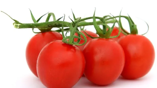 Beyond the Plate: Unlocking Your Wellness Potential with Diet, Exercise, and Mindset