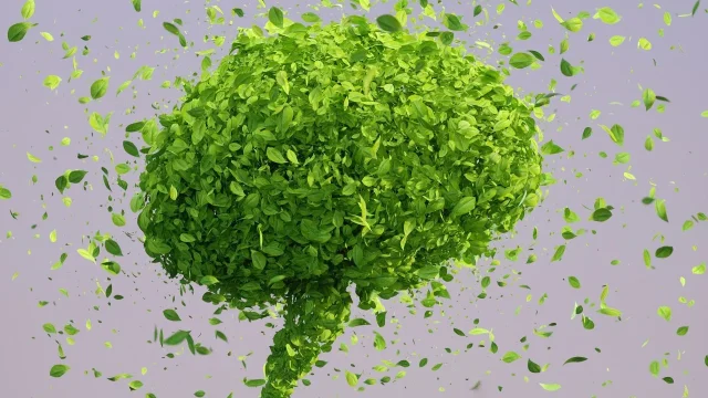 How to Protect Your Brain Health: Diet, Coffee, and Microplastics (Expert Guide)