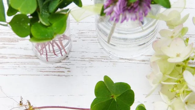 Unlocking Your Wellness Blueprint: Natural Paths to Emotional & Physical Balance