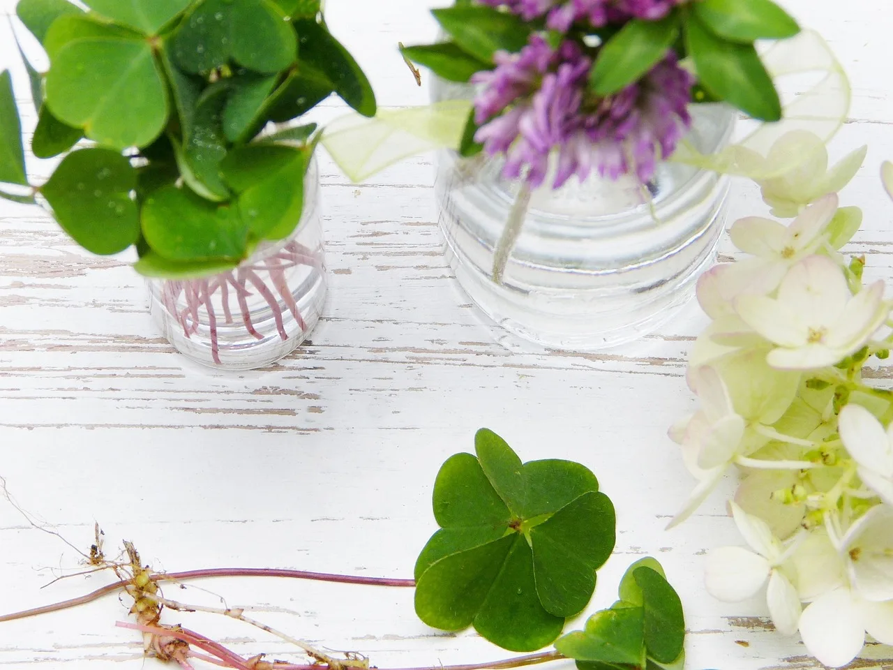 Unlocking Your Wellness Blueprint: Natural Paths to Emotional & Physical Balance