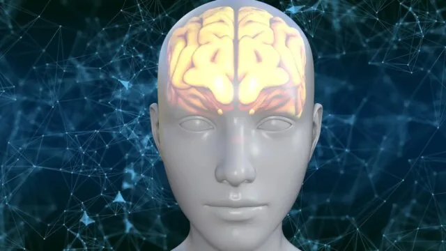 3D human head with brain scan illustration for brain mapping mental health research