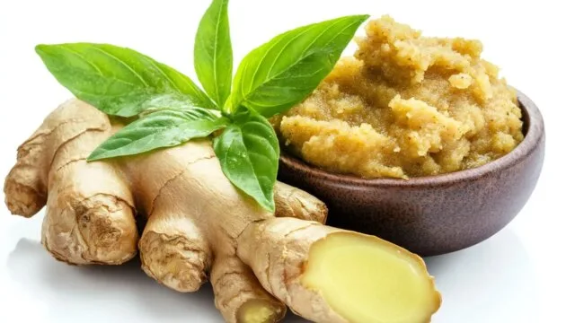 Fresh ginger root with herbal paste representing natural remedies for pain relief