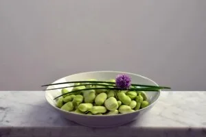 Fresh broad beans in a white bowl on marble surface as a low-methionine plant-based protein that naturally supports FGF21 levels and metabolic health