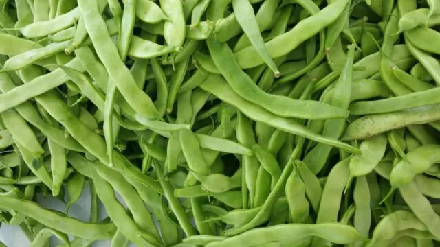 Fresh green beans as a fiber-rich legume that supports butyrate production and naturally boosts FGF21 longevity hormone levels for better metabolism