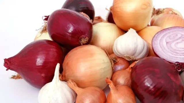 Variety of fresh red, yellow, and white onions rich in antioxidants and health-promoting phytonutrients
