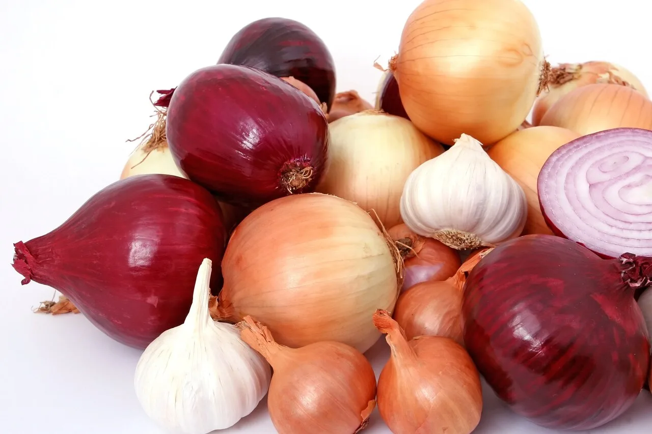 Variety of fresh red, yellow, and white onions rich in antioxidants and health-promoting phytonutrients