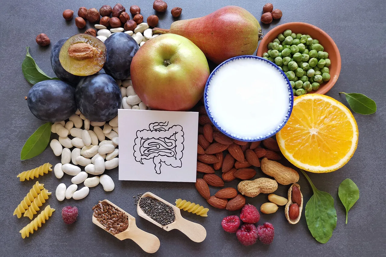 Variety of foods including fruits, legumes, nuts, seeds and dairy arranged around a digestive system illustration representing IBS gut health and low FODMAP diet management
