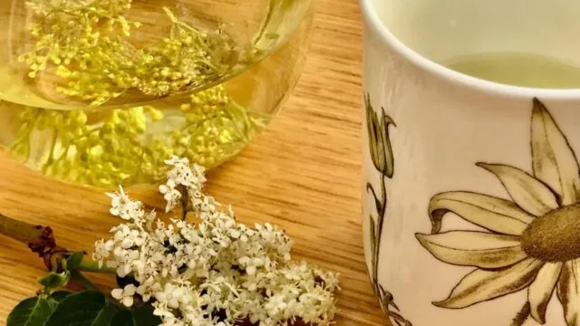 dried limeflower elderflower herbal tea cup wooden table