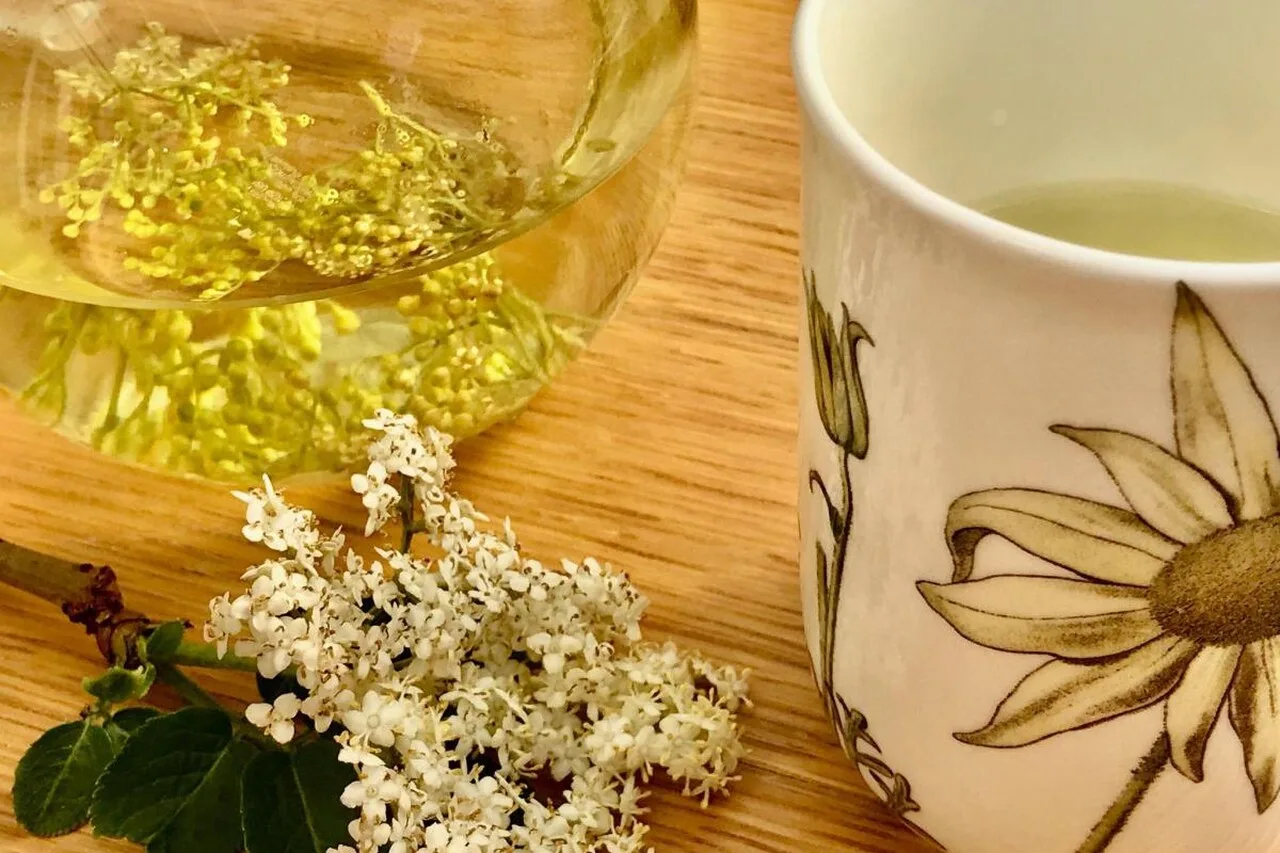 dried limeflower elderflower herbal tea cup wooden table